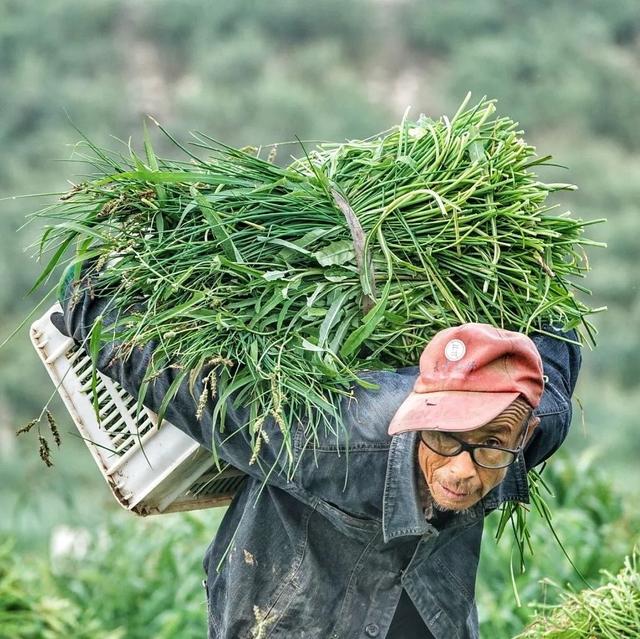 险些命丧深山，他独自航拍中国34省，拍下的照片让人热泪盈眶