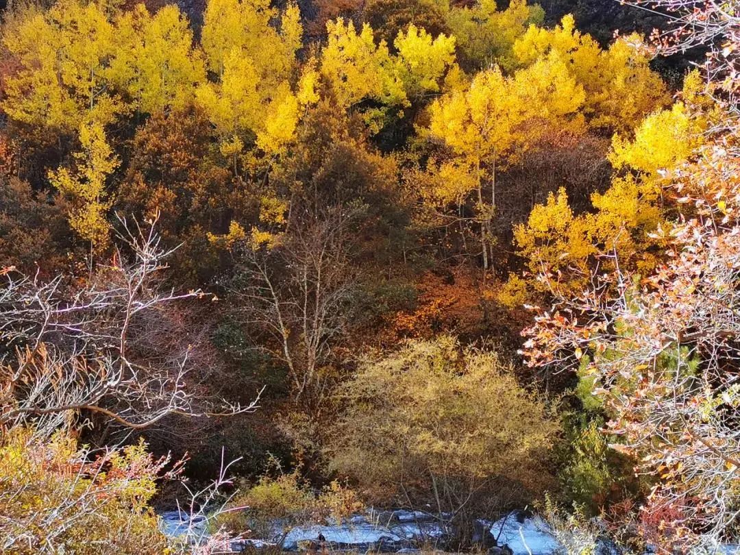 再过几天，摄影人就熬不住了！50张图告诉你川西有多美