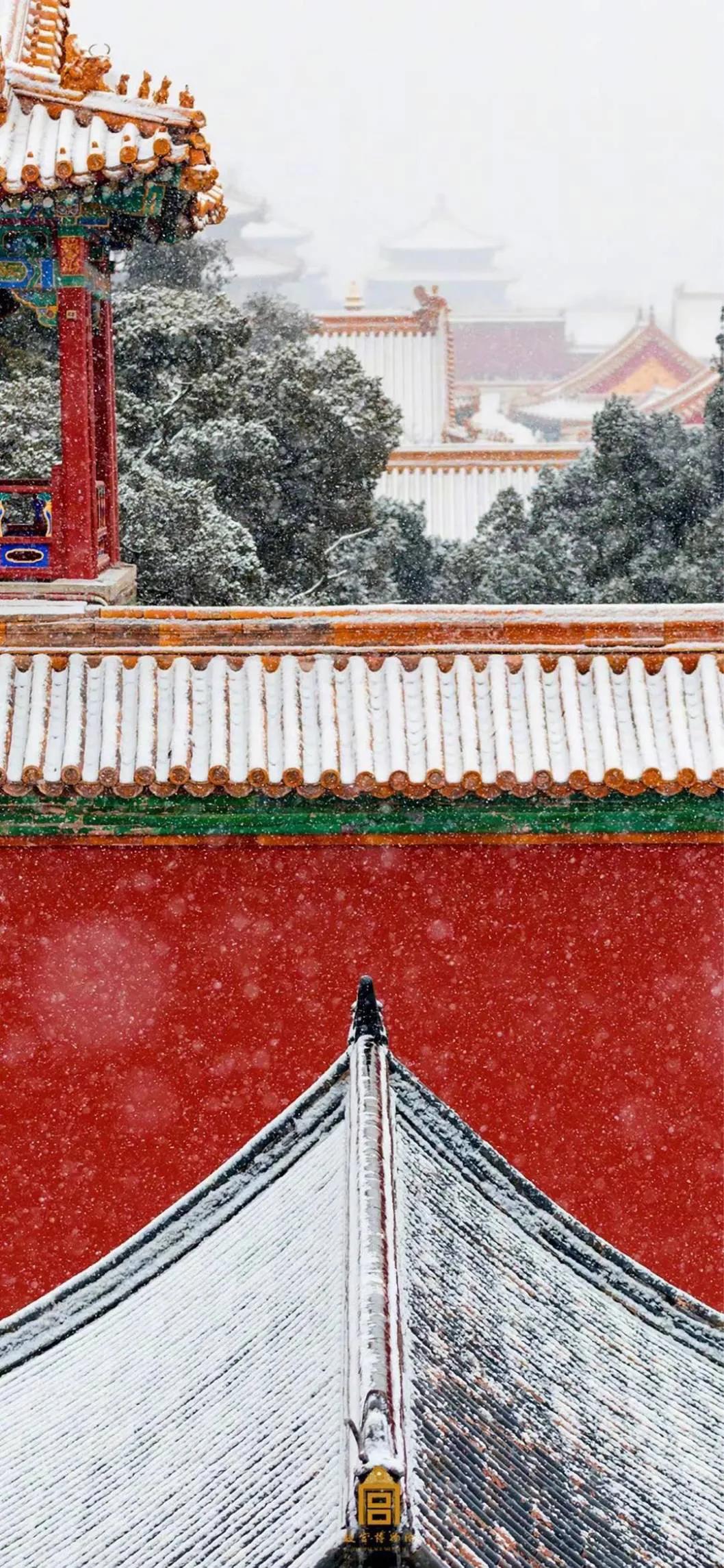 雪后的紫禁城照片图片
