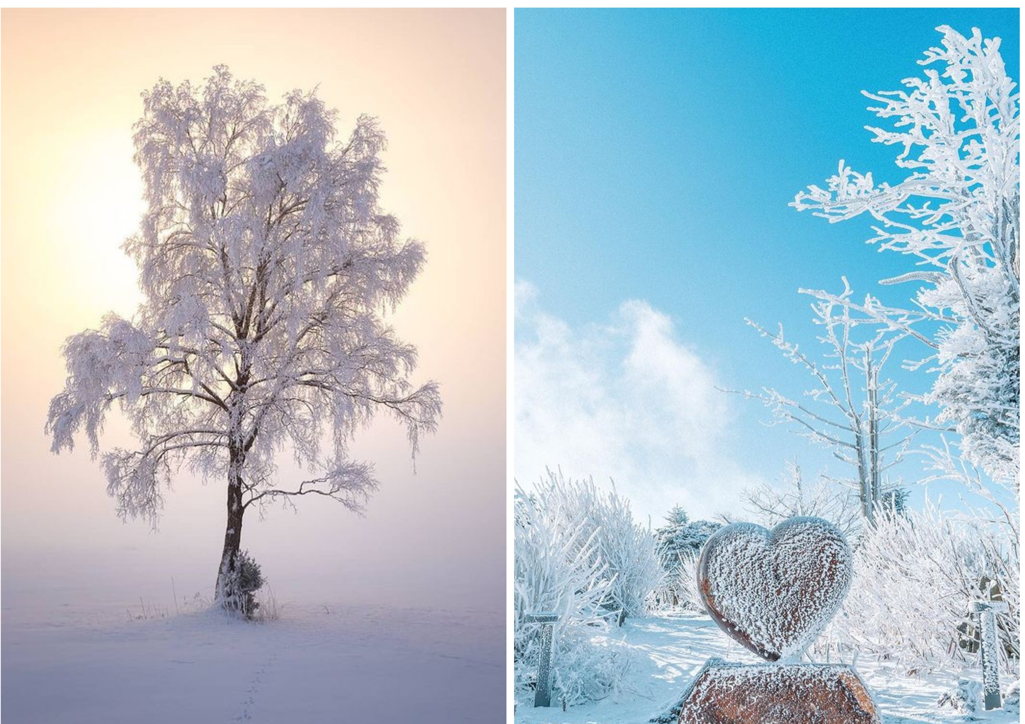 你准备好拍冬天了吗？这10个冬天摄影技巧，帮你冬天照片美起来
